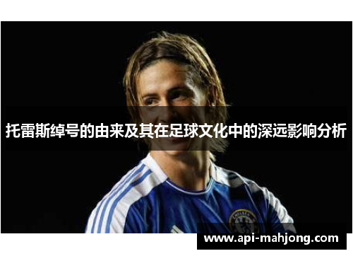 托雷斯绰号的由来及其在足球文化中的深远影响分析