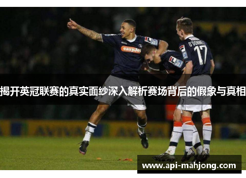 揭开英冠联赛的真实面纱深入解析赛场背后的假象与真相