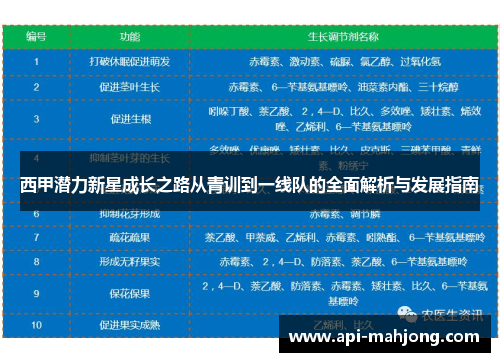 西甲潜力新星成长之路从青训到一线队的全面解析与发展指南